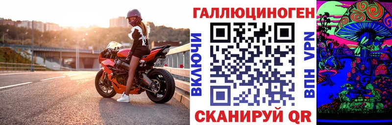 kraken ССЫЛКА  Пионерский  Псилоцибиновые грибы Psilocybine cubensis  цена  