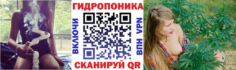 Канабис Amnesia  Пионерский 